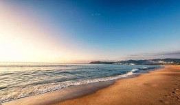 海南海边最新消息爆料,神秘海岛发现珍稀生物，旅游胜地再掀热潮