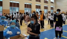 五星体育爆料最新消息视频,最新赛事动态揭秘