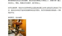 大签哥最新爆料消息,揭秘娱乐圈最新动态与幕后真相