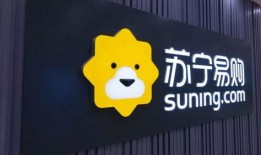 苏宁最新爆料,揭秘苏宁易购神秘新项目，引领行业变革！