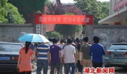 浠水二小爆料新闻报道最新,校园动态与教育成果精彩呈现