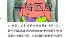 热点爆料事例大全最新,事例大全深度剖析