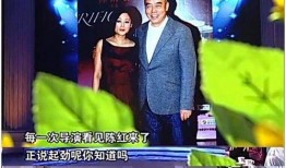 新丽总裁最新爆料,行业变革背后的真实故事