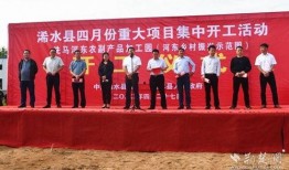 浠水二小爆料新闻报道最新,校园动态与教育成果精彩呈现